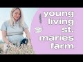 COME WITH US TO THE YOUNG LIVING ST. MARIES FARM! | Aaryn Williams