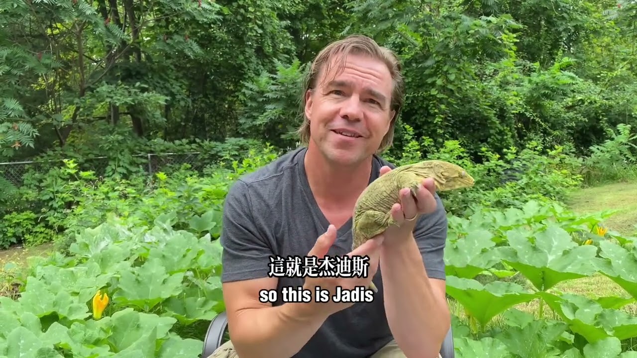 美國大神系列 - 好友 Rob Haneisen 巨人守宮、蓋勾亞、魔物守宮介紹！