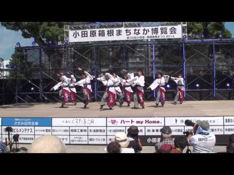 伊澤屋　2014小田原えっさホイ　2日目　メインステージ1回目