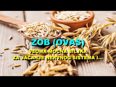 Video: Da li su kvaker zob valjani zob?