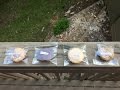 Sweet Mama: Mommy & Me Treats