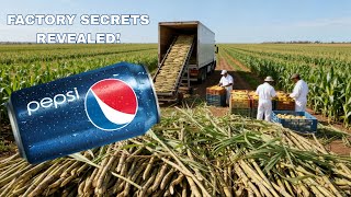Pepsi Production: Inside the World’s Largest Pepsi Factory | Full Bottling Process