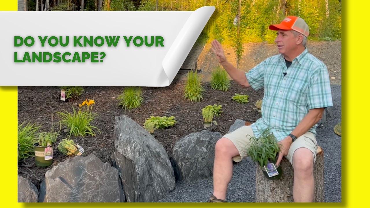 Прогулка для достижения максимального успеха в ландшафтном дизайне