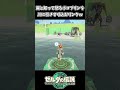 怒ってるボコブリン達を川に引きずり込むリンクww【ゼルダの伝説 ティアーズ オブ ザ キングダム】