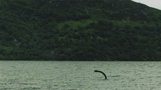 Have robots found the Loch Ness monster?