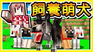 Minecraft 世界最萌的【狗狗大軍】😂 !! 小白和阿神【拯救流浪狗】結局超級催淚 !! Ft. 小白 全字幕