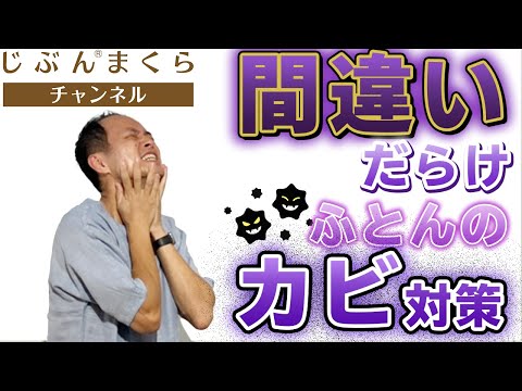 【間違いだらけ】ふとんのカビ対策！枕のプロが教えるカビ対策を大公開！カビ掃除　繁殖　お風呂　顕微鏡　対策　取り方　服　ふとん　布団　落とし方　除去　ハイター　部屋　長梅雨　ダニ菌　換気　すのこ