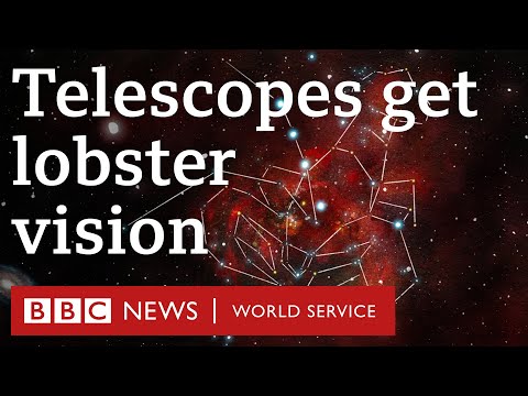 The space telescopes inspired by lobsters - BBC World Service