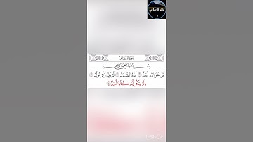 سورة الاخلاص/ صوت الشيخ سعد الغامدي