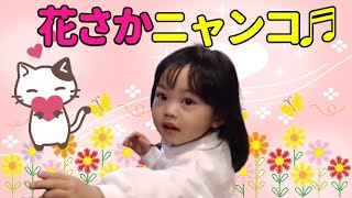 花さかニャンコみんなの歌を童謡こどもの歌コンクールのくろだうた３歳が歌ってみた