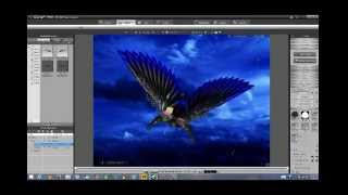 Wings v5