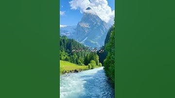 واتس اب قران كريم القارئ سعد الغامدي من سورة (يس)