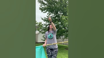 Carves (or Cones) on Flag - Spintronix Shorts