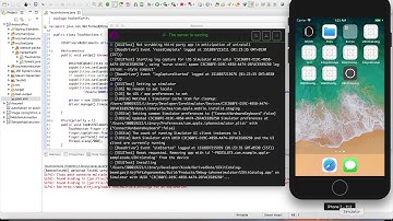 iOS App Automation Testing Session 1.1