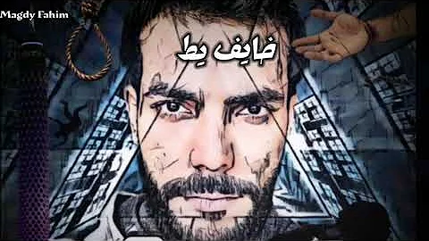 |   donia | magdy fahim