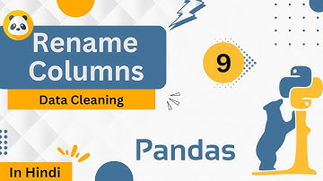 Rename Columns | Data Cleaning | Introduction to Pandas | #pandas #python #leetcode