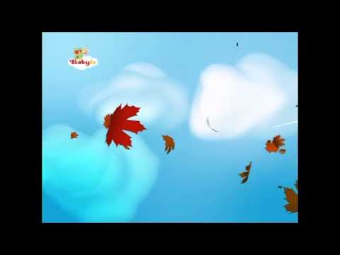 Baby Tv Magic Lantern Wind Fast X4