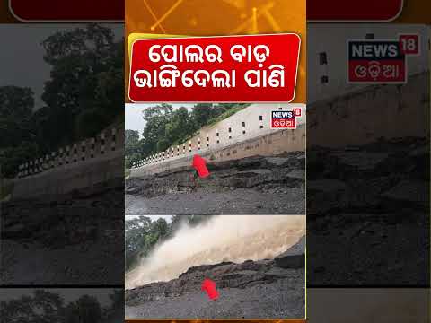 ପୋଲର ବାଡ଼ ଭାଙ୍ଗିଦେଲା ପାଣି ! Flood Alert Odisha: 24 More Hours Critical, Mahanadi Water Rising