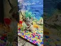 #aquarium and one subscribe fish lovers ho to karoge please 🥺