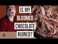 Cutting and Processing Cacao Beans Part 1 - YouTube