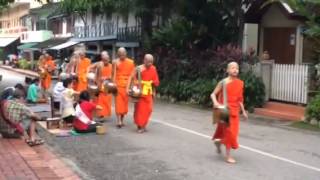 Collecting alms in Luang Prabang, Laos