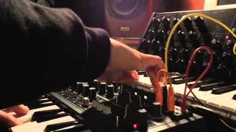 Microbrute triggering ms20 mini pure analog fun