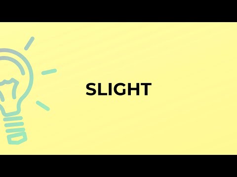 What is the meaning of the word SLIGHT?