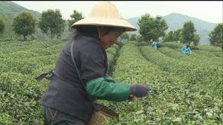 Lezioni per un'agricoltura moderna