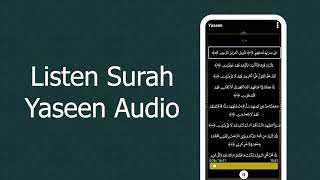 Audio Surah Yaseen demo app screenshot 4