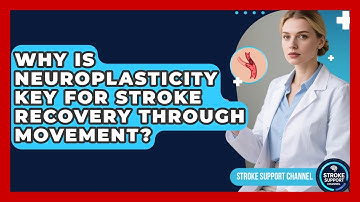Why Is Neuroplasticity Key For Stroke Recovery Through Movement? - Stroke Support Channel