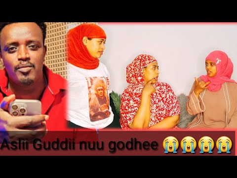 Aslii Irraatii Park Gonnaa Jenee Maki Waan Ofik Woliin Gudiitane