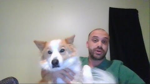 Guessing the QLD Methods External Exam: Part 9