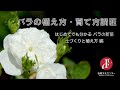 バラの植え方・育て方講座1 【はじめてでも分かる ～バラの新苗 土づくりと植え方 編】