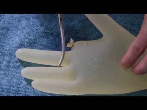 Glove clamp, cut, and ligation