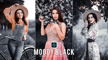 Moody Black Preset - Camera Raw Filter Presets Free Download - Color Grading Photoshop Tutorial