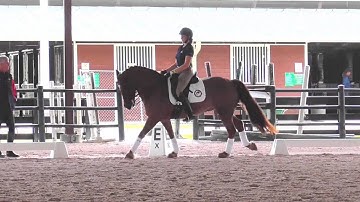 George Williams: Exercises to Develop the Collected and Counter Canter
