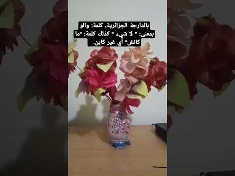 معنى كلمتي والو و ما كانش بالدارجة الجزائرية