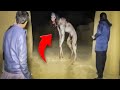10 Ghostly Figures Captured on Video That Will Give You Nightmares!