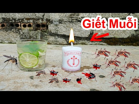 Cách Diệt Muỗi & Đuổi Muổi Đơn Giản Nhất Rất Hiệu Quả / Mẹo Đuổi Muỗi . Experiment :catch mosquitoes