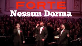 Video thumbnail of "Forte - Nessun Dorma - Carnegie Hall Debut"