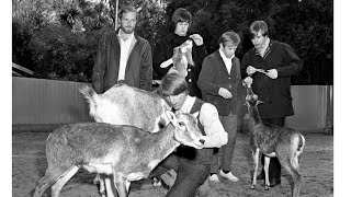 Discovered: Lost footage of Beach Boys at the San Diego Zoo in 1966