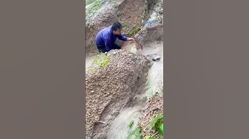 Cá Lớn - chặn vợt được Cá Trê Khủng 😱 #khacthuyvlogg