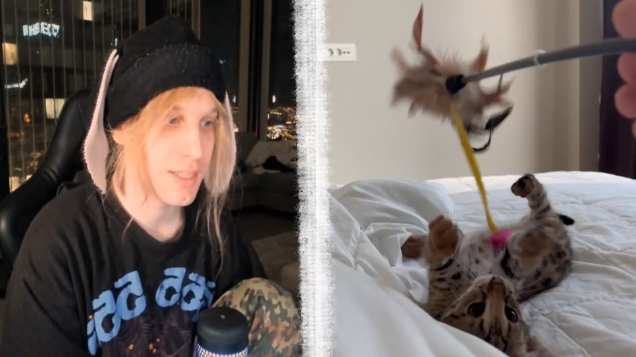 ФЕДР ИСПОРТИЛ ДИВАН ПЛОХОМУ ПАРНЮ - YouTube