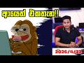 ආයෙත් එකතැන!!!!!| 2025/04/22|daily crypto trading signals | ROG CRYPTO