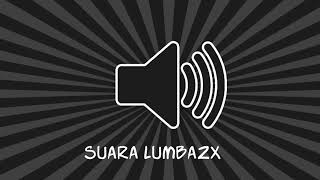 Sensor suara lumba lumba