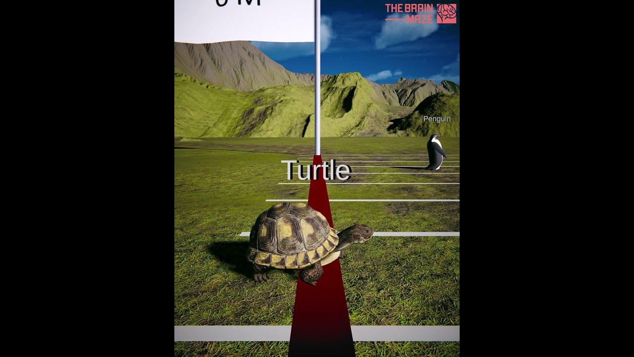 Ultimate 500m Animal Race