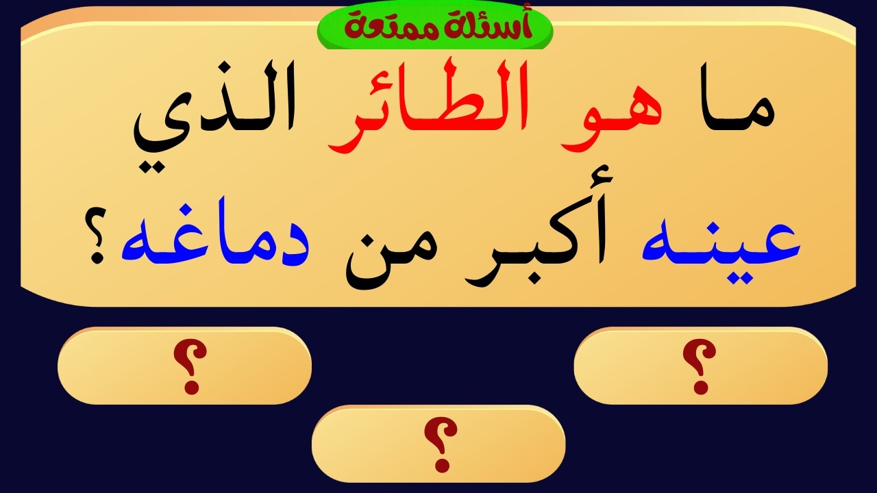 اسئلة دينية صعبة جداً واجوبتها | معلومات ثقافية قرآنية مع الحل | 40 سؤال وجواب