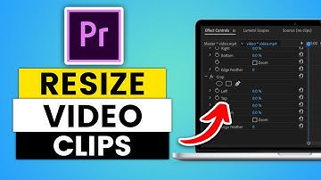 Premiere Pro : How to Resize Video Clips and Images (EASY 2025)
