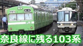 【まだ残る国鉄の楽園！】奈良線 改良続く桃山駅【103系・205系・221系・・・】