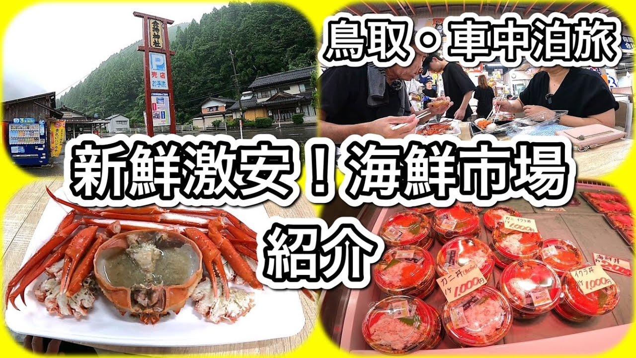 最悪！とんでもない日に幸運の神社を参拝してしまいました☔